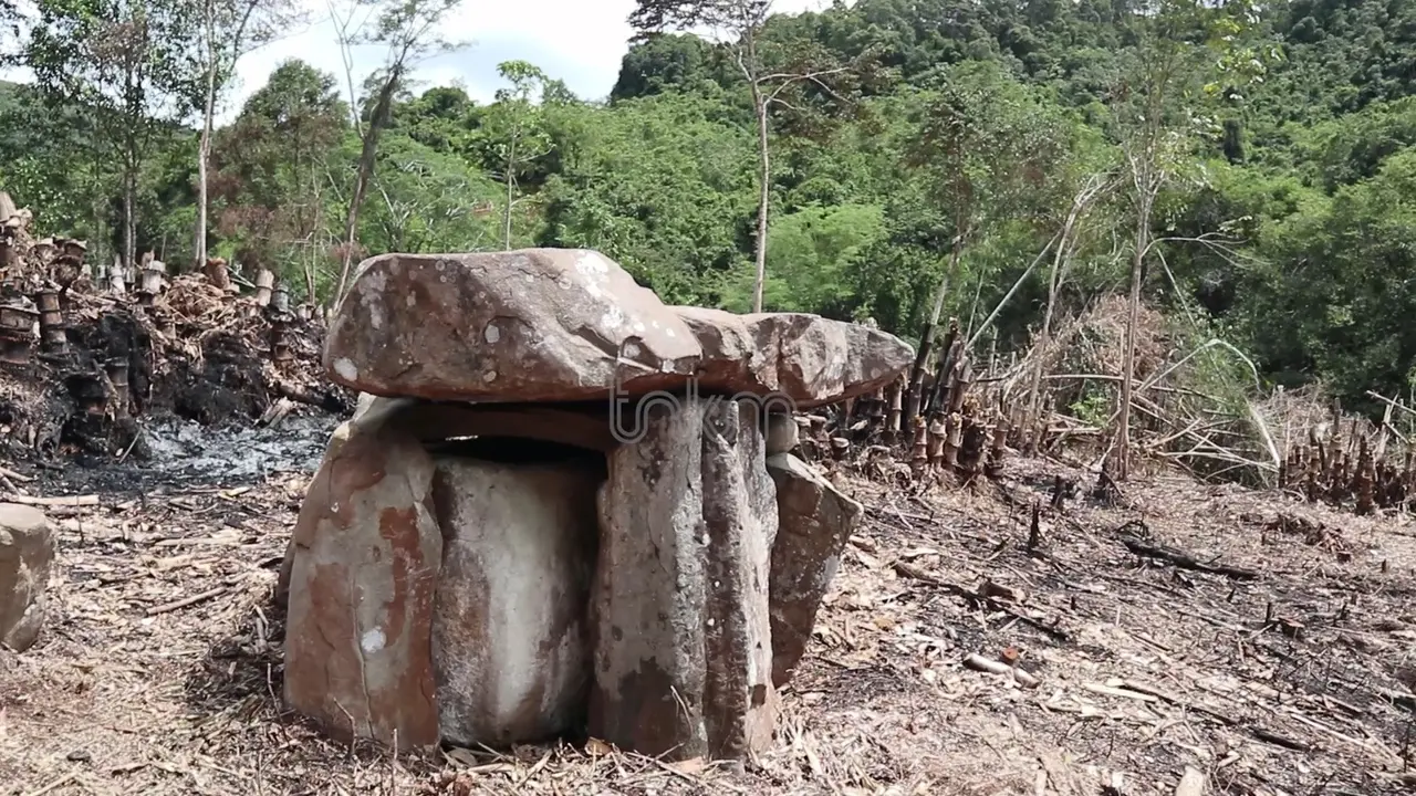 Penemuan kuburan batu di Taman Nasional Kayan Mentarang. (Liputan6.com/Abdul Jalil)