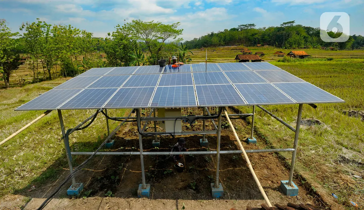 Petani membersihkan panel surya yang dipasang pada areal pertanian di Cikaduwetan, Kabupaten Kuningan, Jawa Barat, Rabu (23/8/2023). (merdeka.com/Arie Basuki)
