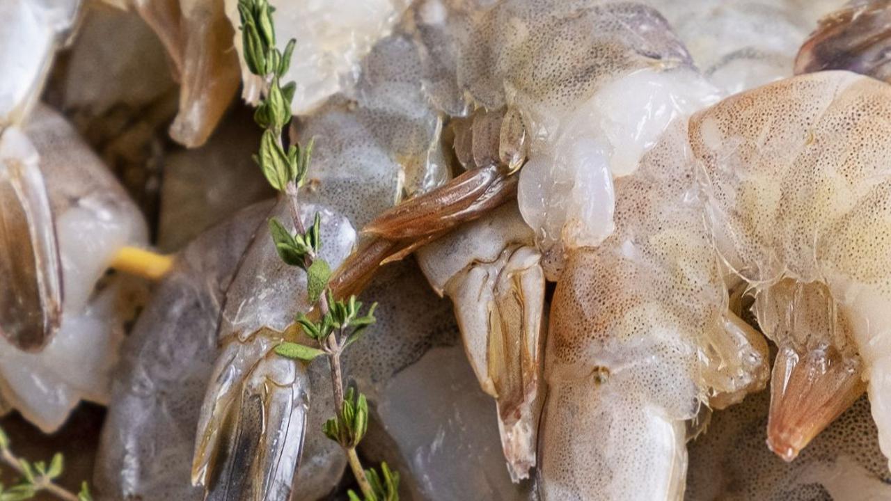 Lebih dari 30 spesies udang dalam keluarga Aoridae kini telah dideskripsikan di Jepang.