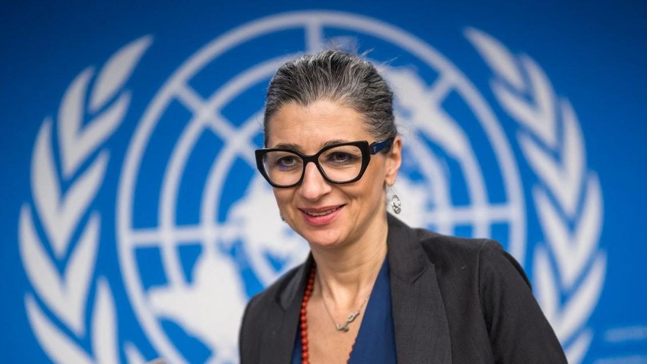 Namun ada yang menarik jika melihat latar belakang. Fransesca Albanese, selain pernah penjalani pendidikan di bidang hukum. Dia juga seorang cendekiawan, peneliti dan penasehat senior di organisasi internasional.<br>
