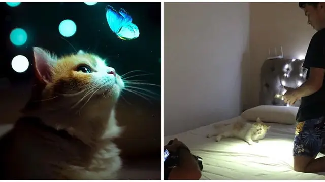 6 Potret Ekspektasi Vs Realita Foto Pakai Cahaya Lampu, Hasilnya Instagramable