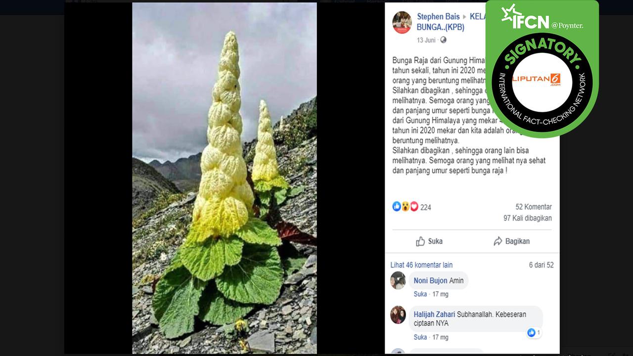 Hoaks bunga mekar 400 tahun sekali