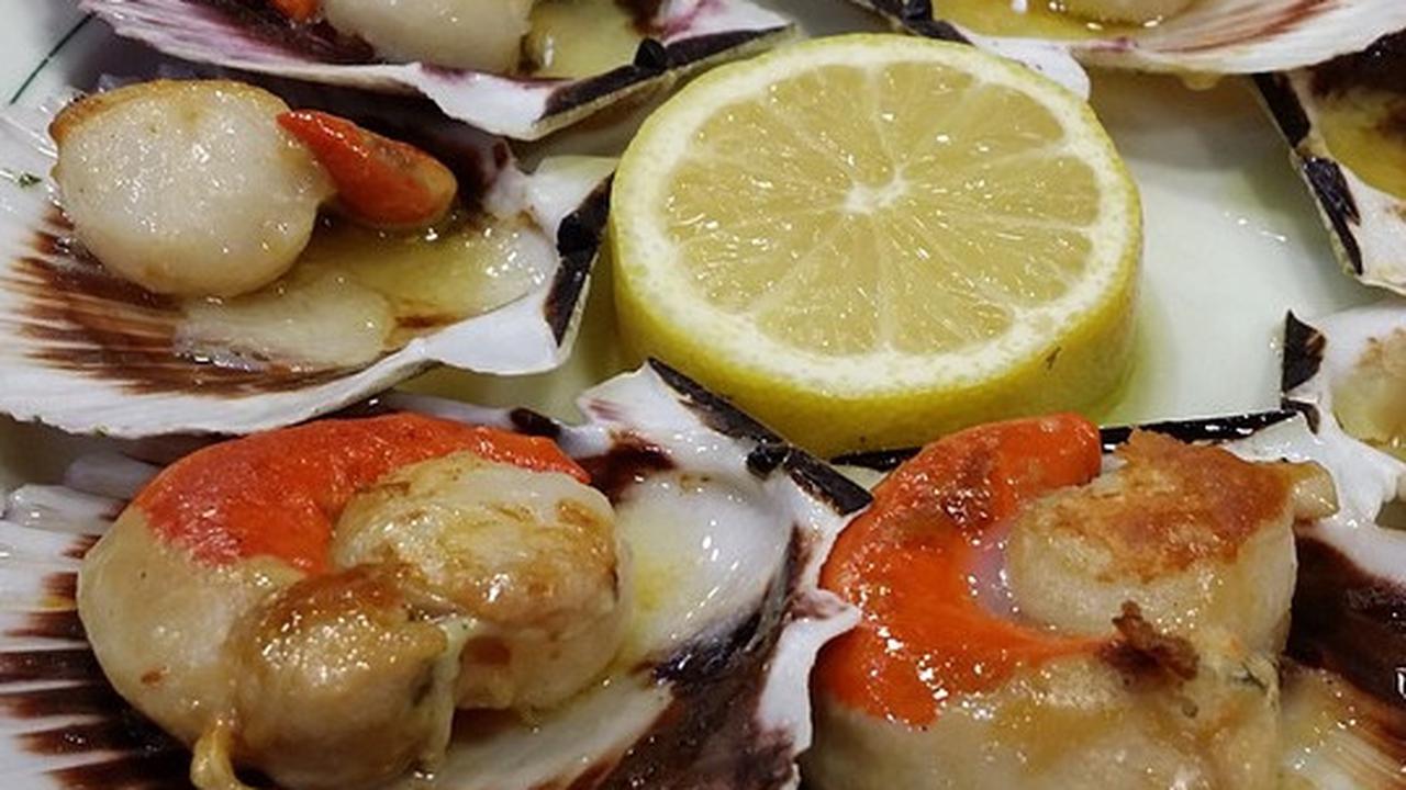 9 Manfaat Kerang Simping untuk Kesehatan, Turunkan Risiko Stroke