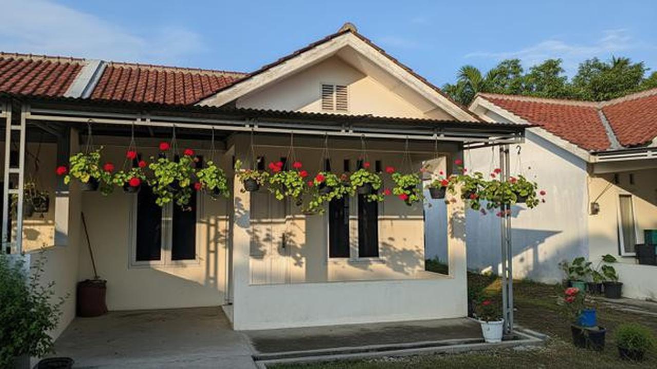 15 Tanaman Gantung untuk Teras Sempit yang Awet Meski Jarang Disiram, Percantik Halaman Rumah