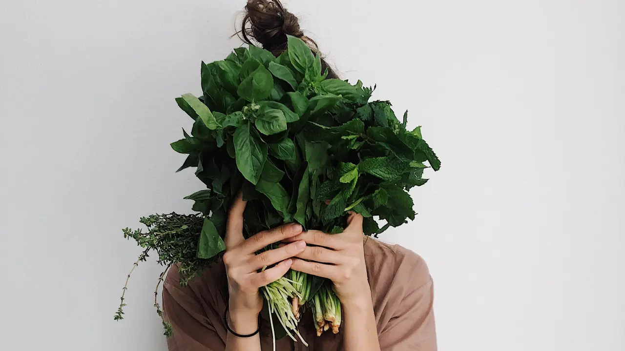 kangkung-kezo