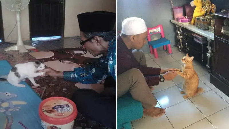 Bikin Gemas, Begini Penampakan Kalo Kucing Ikut Lebaran