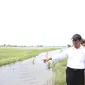 Menteri Pertanian Andi Amran Sulaiman meninjau lahan pertanian yang terdampak banjir.