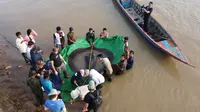 Dalam foto yang diambil pada 14 Juni 2022, tim ilmuwan dan peneliti mengukur panjang ikan pari air tawar raksasa sebelum dilepaskan kembali ke Sungai Mekong di provinsi timur laut Stung Treng, Kamboja. Ikan pari air tawar itu, oleh penduduk sekitar diberi nama Christened Boramy - yang berarti "bulan purnama" dalam bahasa Khmer. (Sinsamout Ounboundisane/FISHBIO via AP)