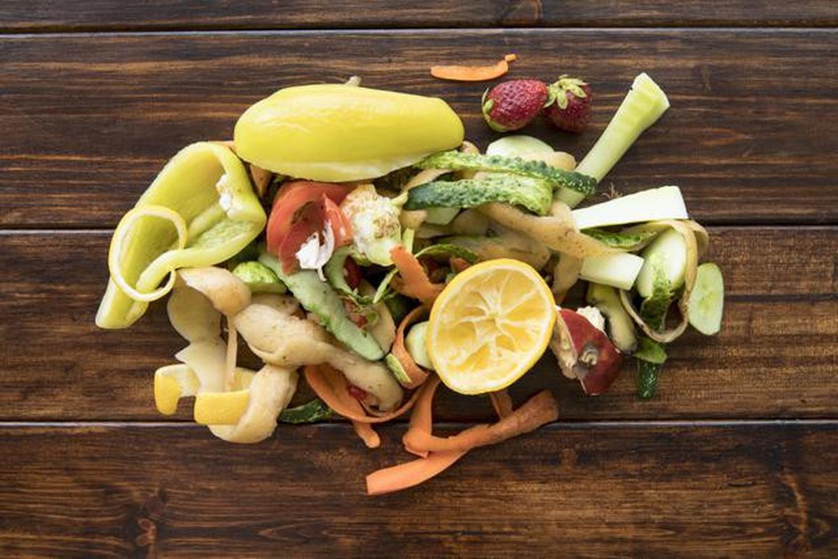 7 Limbah Rumah Tangga yang Cocok jadi Pupuk Alami, Trik Berkebun Murah dengan Hasil Optimal