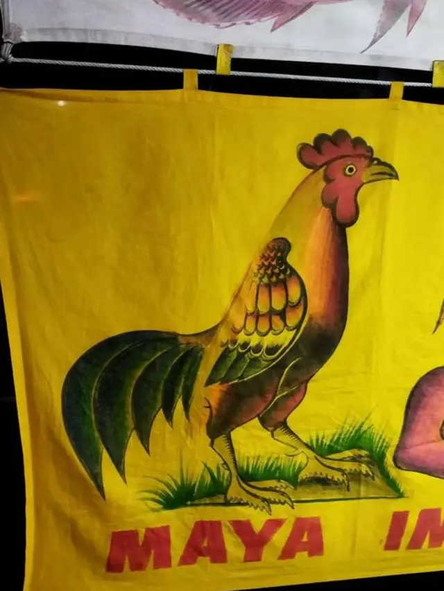6 Tulisan Salah di Spanduk Pecel Lele Ini Bikin Pelanggan Ngakak