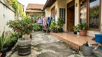 Cara agar Cabai Berbuah Lebat di Pot Galon, Panen Melimpah Meski Lahan Sempit