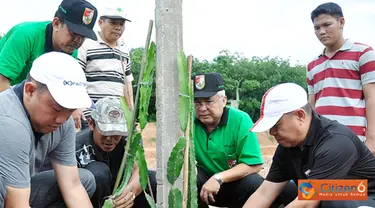 Citizen6, Pulung Kencana: Kebun Agrowisata merupakan salah satu ikon yang sedang dibangun oleh Pemerintah Kabupaten Tulang Bawang Barat, yang akan menjadi tempat rekreasi sekaligus praktik budidaya pertanian. (Pengirim: Humas TBB)