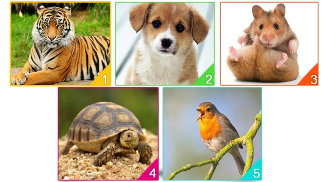 Hewan Mana yang Akan Kamu Adopsi? Pilihanmu Dapat Ungkap Keadaan Emosional