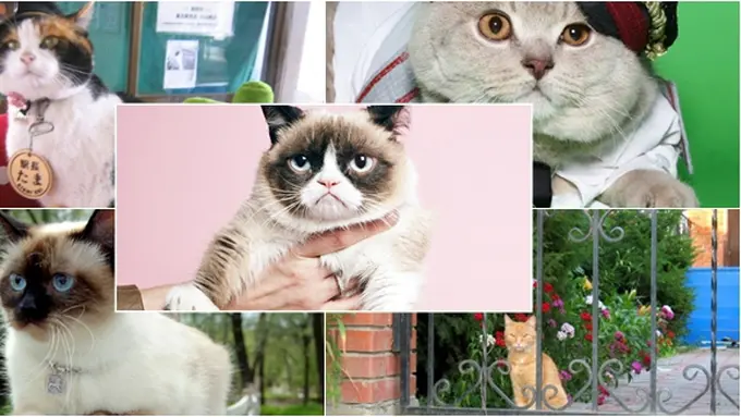 Courtesy Vemale.com/BSB