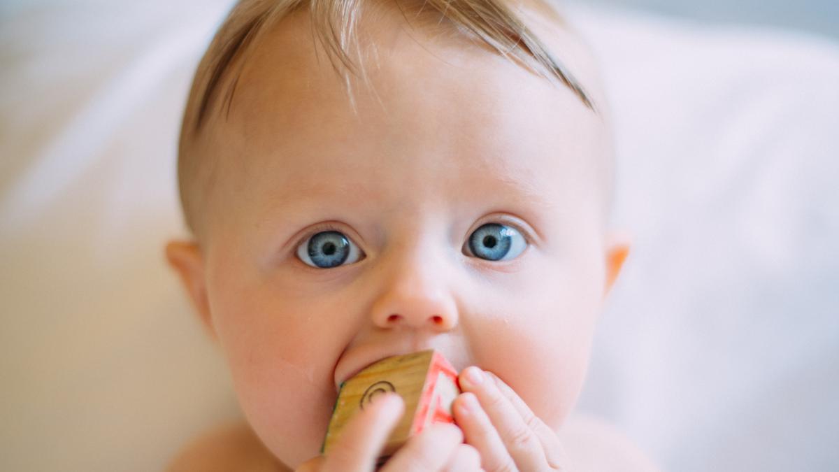 5 Asupan Protein Terbaik untuk Perkembangan Tubuh Bayi