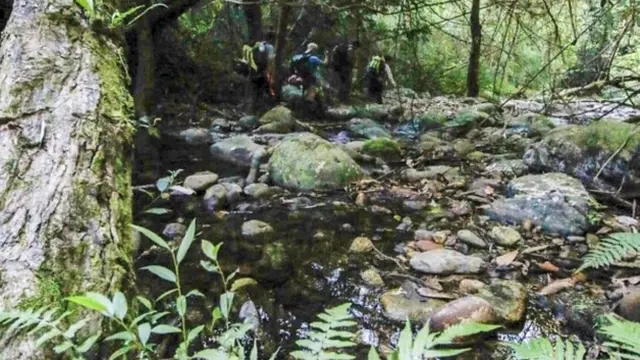 Rute pendakian ke Gunung Phou Louey di Laos