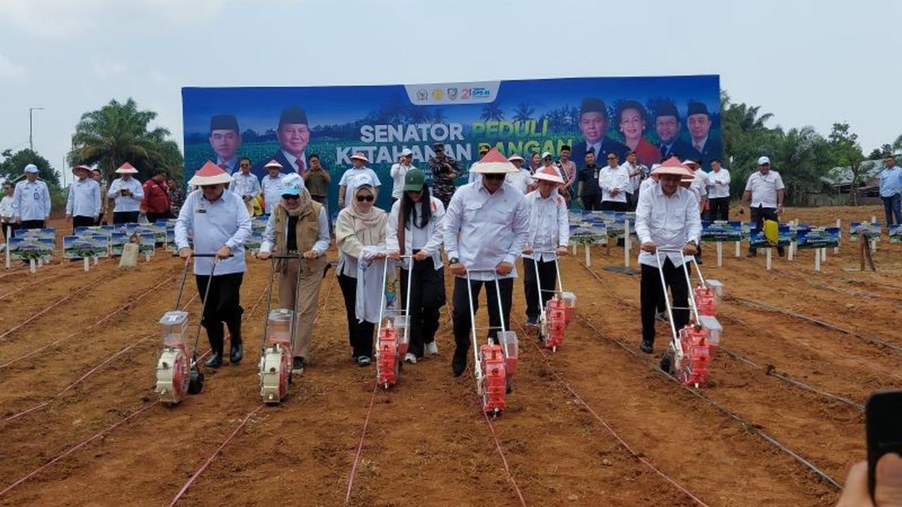 Produktivitas Jagung Bengkulu Melonjak 8,83 Ton per Hektare, Lampaui Rata-rata Nasional!