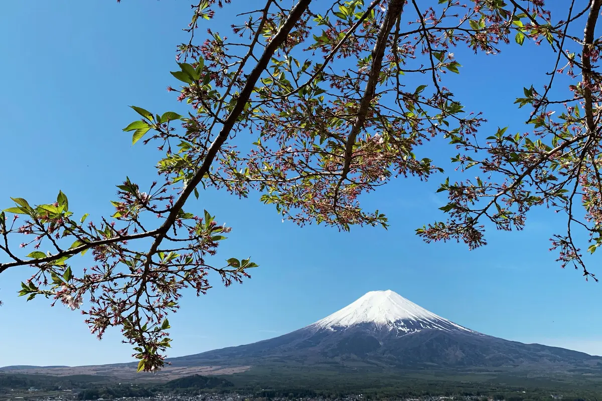 Gunung Fuji dari Prefektur Yamanashi