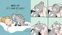 Ilustrasi Komik Suka Duka Pelihara Kucing  (Sumber: Boredpanda)