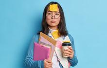 Waspada! Ini 5 Tanda Lingkungan Kerja yang Toxic dan Bikin Mental Terganggu