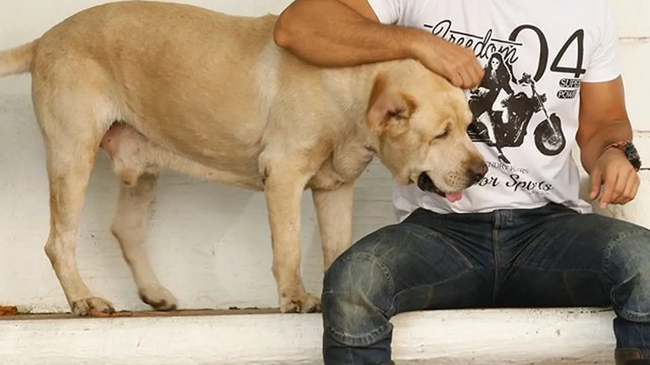 Kushal Punjabi