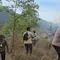 Dampak Kebakaran Hutan Konservasi Kintamani