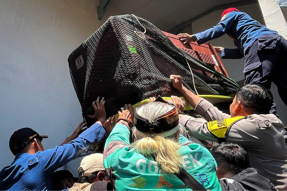 FOTO: Drama Evakuasi Macan Tutul Nyasar ke Hotel di Bandung, Butuh Waktu Tiga Jam