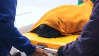 Sadis! Korban Pengeroyokan di Sukabumi Dipukul Pakai Balok Kayu hingga Tewas
