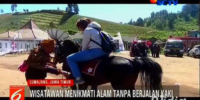 VIDEO: Nikmati Sensasi Berkuda di Taman Nasional Bromo Tengger Semeru