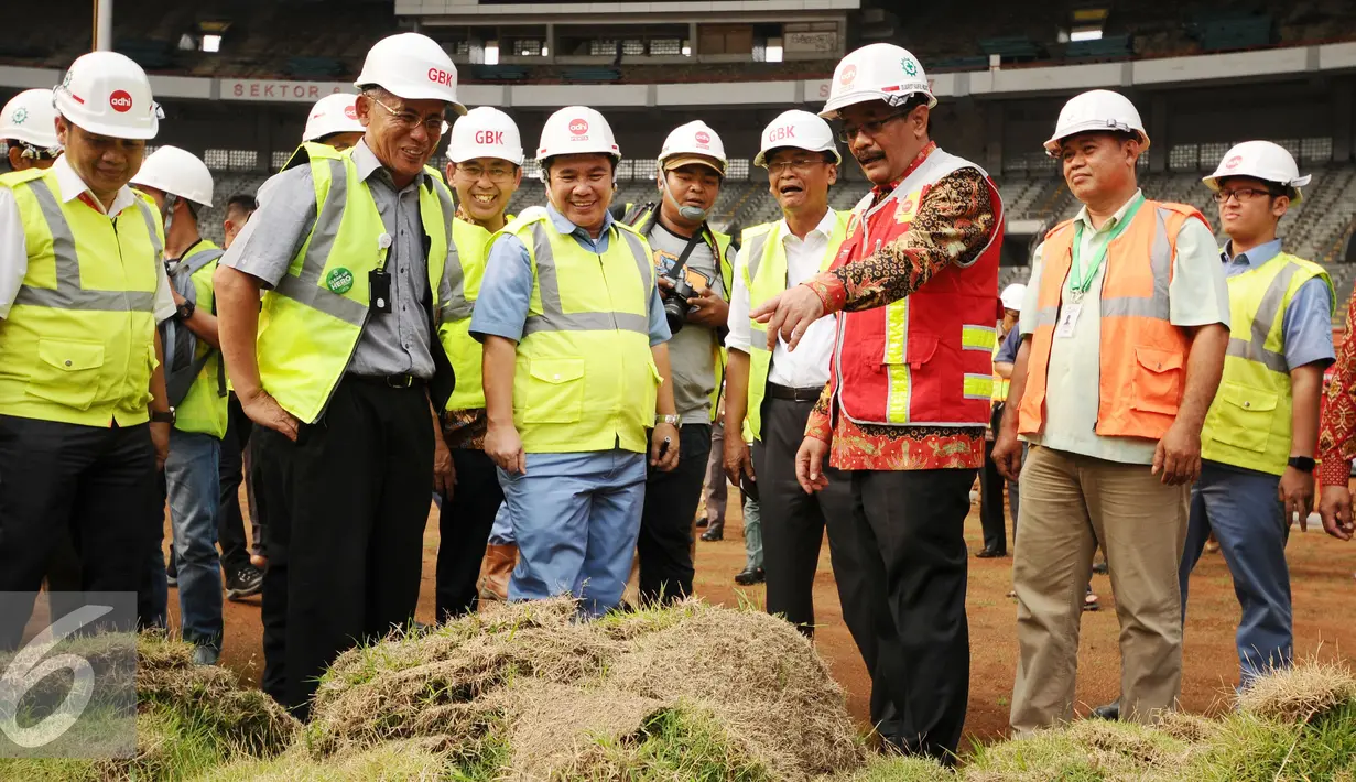 Wakil Gubernur DKI Jakarta, Djarot Saiful Hidayat melihat kondisi rumput lapangan saat meninjau perkembangan renovasi Stadion GBK Jakarta, Selasa (18/10). Pengerjaan renovasi Stadion GBK ditargetkan selesai Oktober 2017. (Liputan6.com/Helmi Fithriansyah)