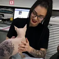 Seorang seniman tato asal Rusia menato kuicng Sphynx seperti layaknya menato kulit manusia. (Via: boredpanda.com)