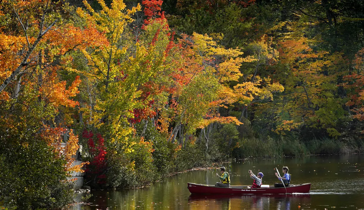 Seorang penumpang di kano memotret dedaunan musim gugur yang indah di South Pond, Bryant Point, Maine, Amerika Serikat pada 9 Oktober 2021. Daun musim gugur mencapai warna puncak di sebagian besar negara bagian. (AP Photo/Robert F. Bukaty)