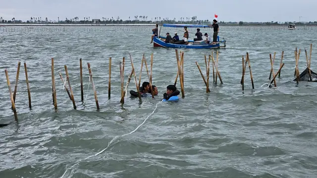 Pagar Laut Tangerang Dibongkar, Proses Hukum Tetap Jalan