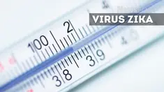 Cegah virus Zika Kemenkes siapkan tim di pintu masuk peredaran turis, seperti di bandara dan pelabuhan. Tim akan mendeteksi orang-orang yang demam saat tiba di Indonesia.
