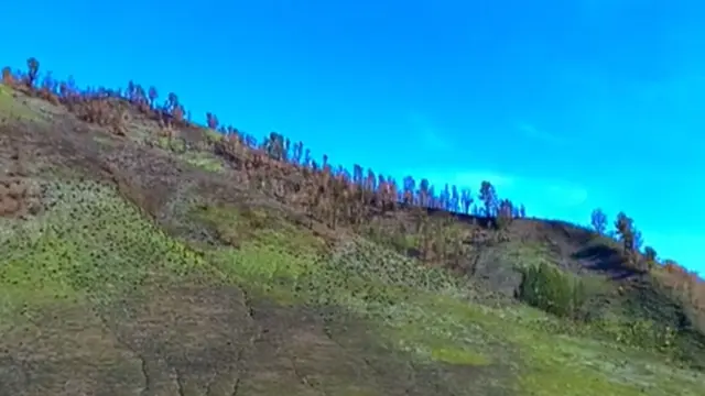 Savana Bromo
