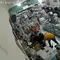 Pria Bermasker Rampok Agen Laku Pandai di Serdang Bedagai