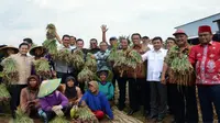 Komisi IV Pastikan Distribusi Bawang Merah Aman
