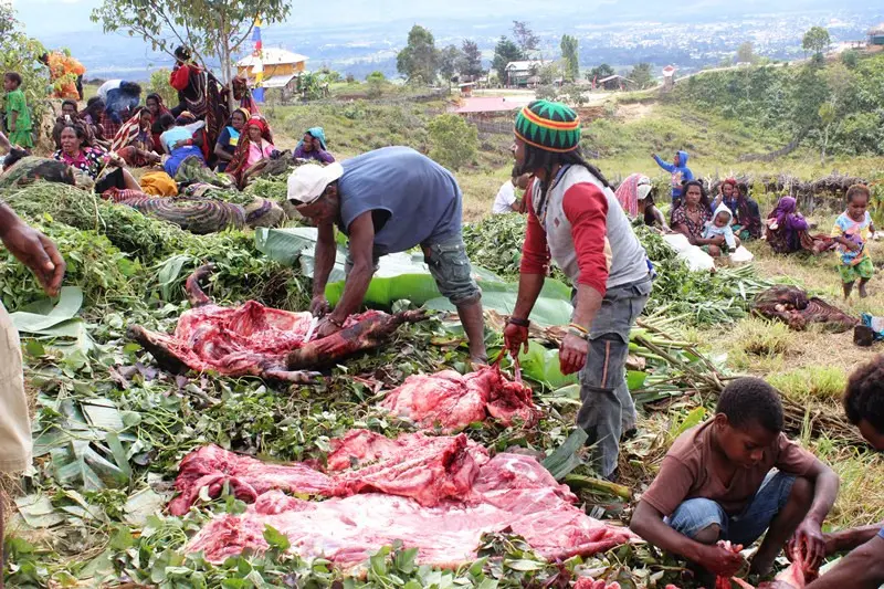 Para lelaki sedang memotong babi untuk upacara bakar batu. (Foto: Liputan6.com/Fitri Haryanti Harsono)