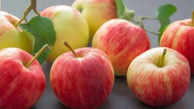 Buah Apel
