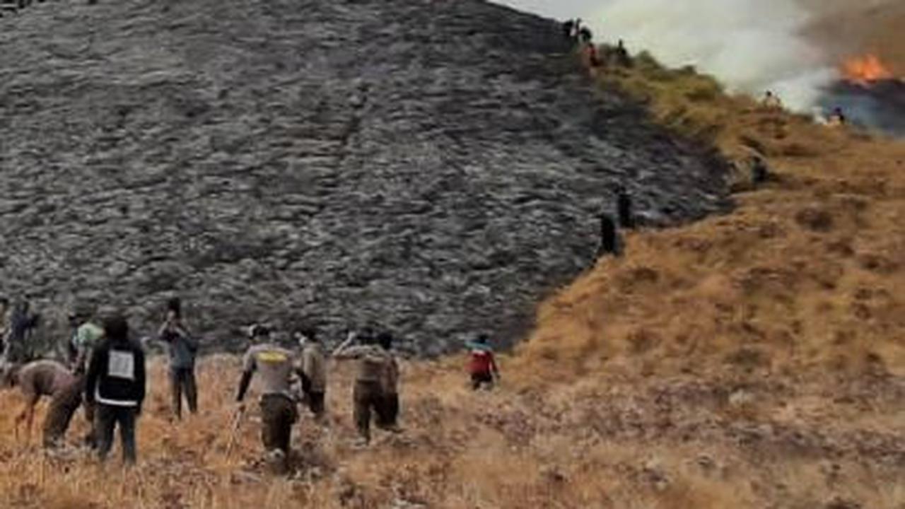 Kebakaran Bukit Teletubbies Bromo Diduga Akibat Flare Prewed, Manajer Wedding Organizer jadi Tersangka