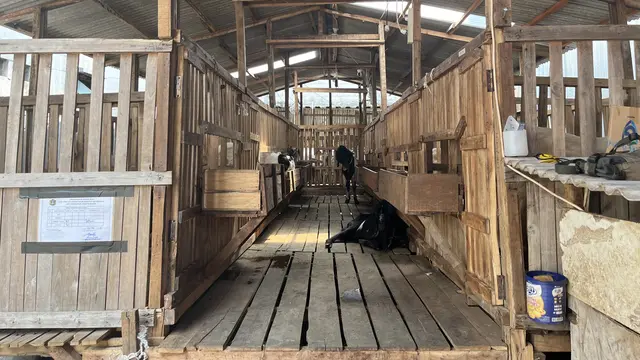 Usaha jual-beli hewan kurban di Jakarta pada Selasa (3/6/2025).