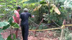 Ditemukan mayat bocah korban pembunuhan yang dibungkus karung plastik.