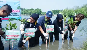 Bukalapak Gandeng Visi Jaya dan Pelindo Tanam Bibit Mangrove di Muara Gembong