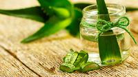 Tanaman herbal bisa disusun menjadi dekorasi rumah.