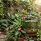 Cara Membuat Mini Garden dan Kolam Ikan dari Galon Bekas, Inspirasi Estetik Modal Minim