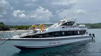 Insiden kecelakaan kapal Fastboat Bali Dolphin Cruise 2, di alur masuk Pelabuhan Sanur pada Selasa, 5 Agustus 2025. (Foto: Kemenhub)