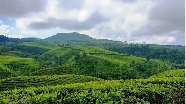 Wisata Lumajang