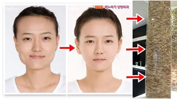 Photo copyright en.rocketnews24.com