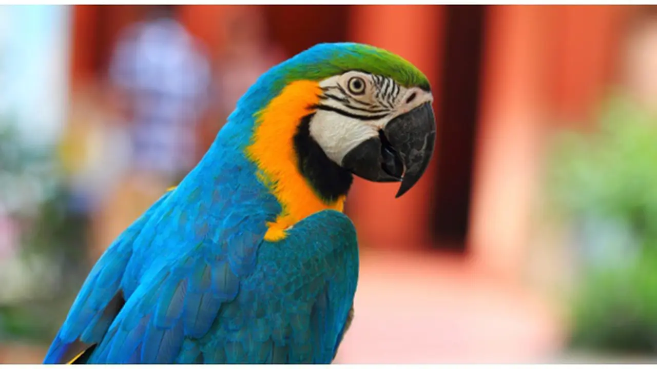 Foto : copyright thinkstockphotos.com