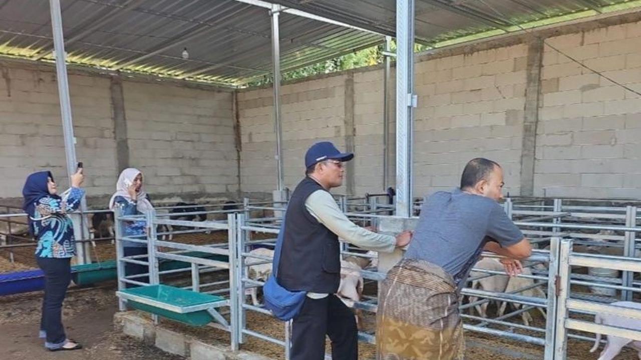 Tahukah Anda, Pengawasan Ternak Impor Australia di Probolinggo Diperketat untuk Cegah Penyakit Lintas Daerah